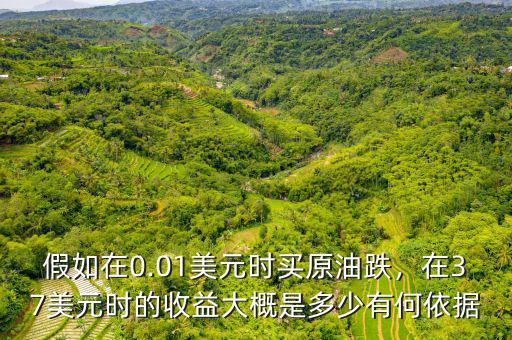 假如在0.01美元時(shí)買原油跌，在37美元時(shí)的收益大概是多少有何依據(jù)