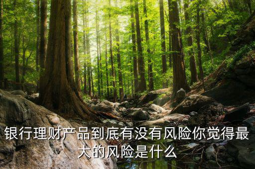理財(cái)產(chǎn)品的風(fēng)險是什么,銀行理財(cái)產(chǎn)品到底有沒有風(fēng)險