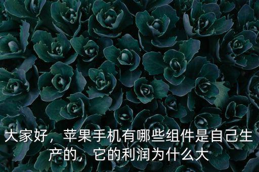 大家好，蘋果手機(jī)有哪些組件是自己生產(chǎn)的，它的利潤(rùn)為什么大