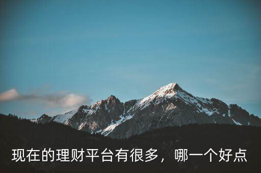 現(xiàn)在的理財(cái)平臺(tái)有很多，哪一個(gè)好點(diǎn)