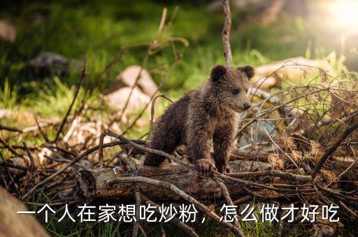 一個(gè)人在家想吃炒粉，怎么做才好吃