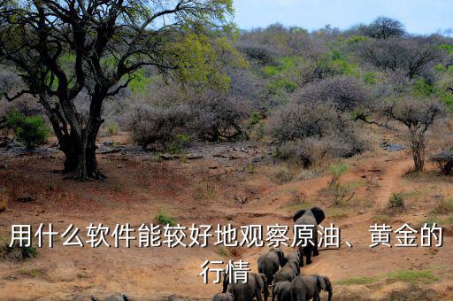 用什么軟件能較好地觀察原油、黃金的行情