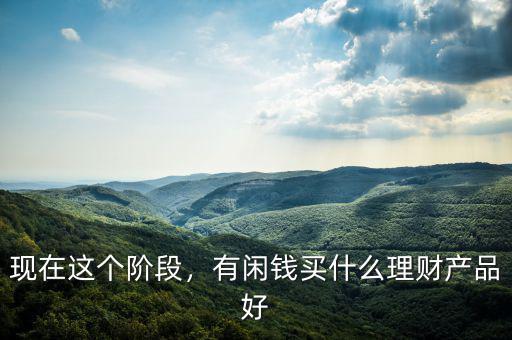 現(xiàn)在這個(gè)階段，有閑錢(qián)買(mǎi)什么理財(cái)產(chǎn)品好