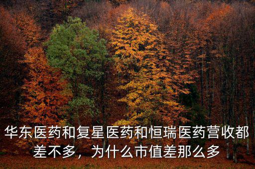 華東醫(yī)藥和復星醫(yī)藥和恒瑞醫(yī)藥營收都差不多，為什么市值差那么多