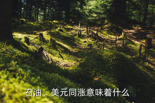 石油、美元同漲意味著什么