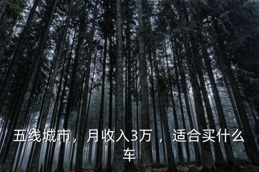 五線城市，月收入3萬 ，適合買什么車
