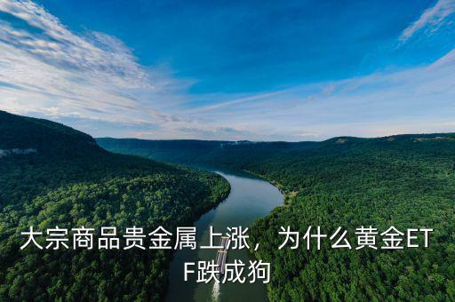 大宗商品貴金屬上漲，為什么黃金ETF跌成狗