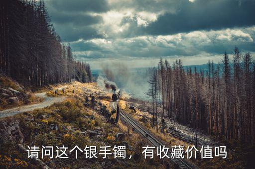 請(qǐng)問這個(gè)銀手鐲，有收藏價(jià)值嗎
