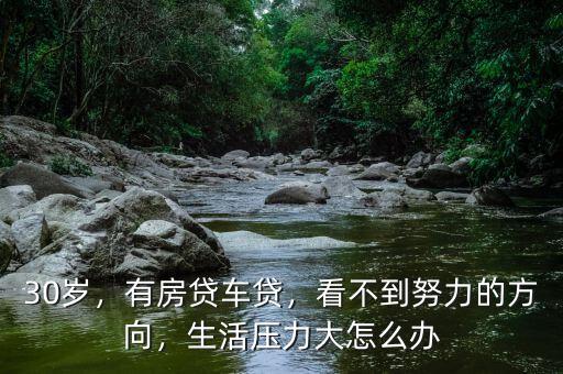 30歲，有房貸車(chē)貸，看不到努力的方向，生活壓力大怎么辦