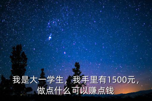 我是大一學(xué)生，我手里有1500元，做點什么可以賺點錢