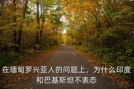 在緬甸羅興亞人的問題上，為什么印度和巴基斯坦不表態(tài)
