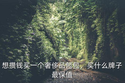 想攢錢買一個奢侈品包包，買什么牌子最保值