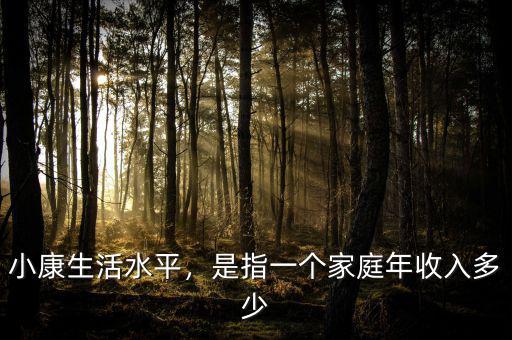 小康生活水平，是指一個家庭年收入多少