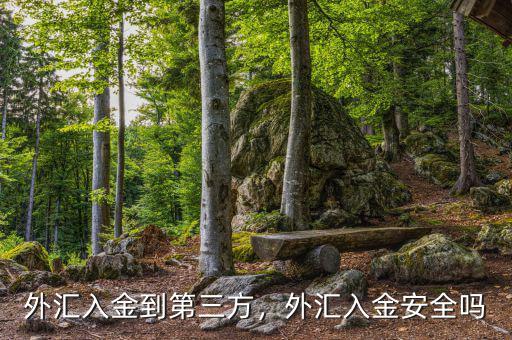 外匯入金到第三方，外匯入金安全嗎