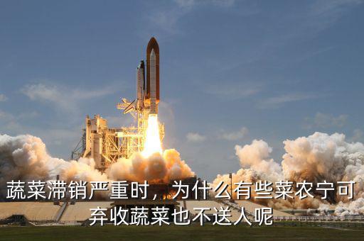 蔬菜滯銷(xiāo)嚴(yán)重時(shí)，為什么有些菜農(nóng)寧可棄收蔬菜也不送人呢