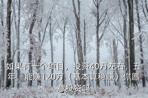 如果有一個(gè)項(xiàng)目，投資40萬(wàn)左右，五年，能賺120萬(wàn)（基本算穩(wěn)賺）你愿意投資嗎