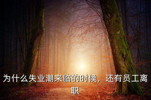 為什么失業(yè)潮來臨的時候，還有員工離職