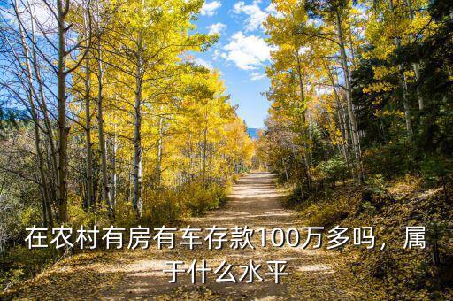 在農(nóng)村有房有車存款100萬多嗎，屬于什么水平