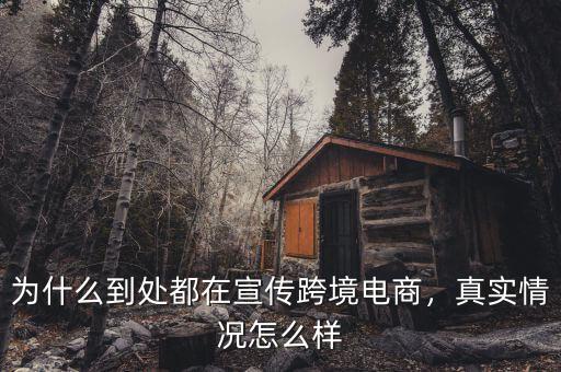 為什么到處都在宣傳跨境電商，真實情況怎么樣