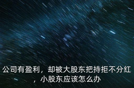 公司有盈利，卻被大股東把持拒不分紅，小股東應(yīng)該怎么辦