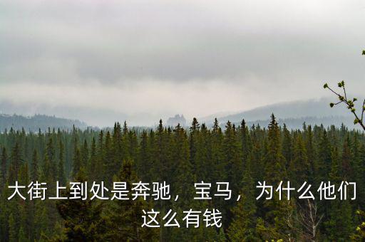 大街上到處是奔馳，寶馬，為什么他們這么有錢