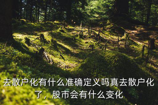 去散戶化有什么準確定義嗎真去散戶化了，股市會有什么變化