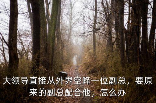 大領(lǐng)導直接從外界空降一位副總，要原來的副總配合他，怎么辦