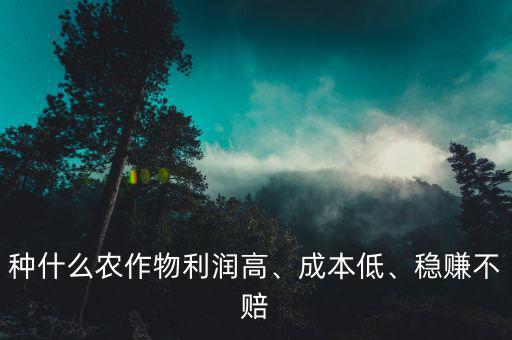 種什么農(nóng)作物利潤高、成本低、穩(wěn)賺不賠