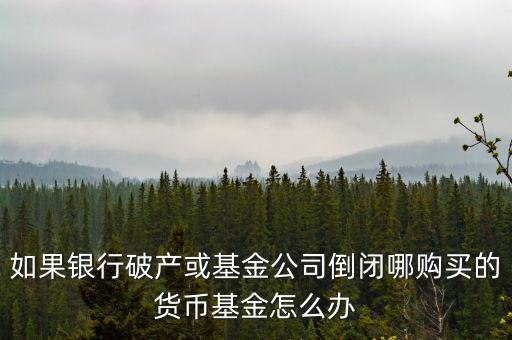 如果銀行破產(chǎn)或基金公司倒閉哪購(gòu)買(mǎi)的貨幣基金怎么辦