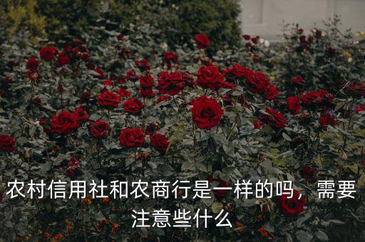 農(nóng)村信用社和農(nóng)商行是一樣的嗎，需要注意些什么