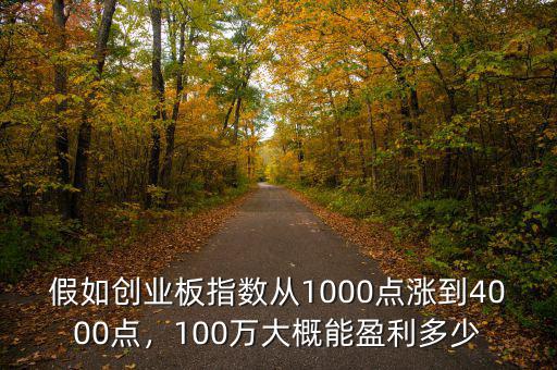 假如創(chuàng)業(yè)板指數(shù)從1000點(diǎn)漲到4000點(diǎn)，100萬大概能盈利多少