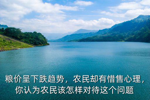 糧價呈下跌趨勢，農(nóng)民卻有惜售心理，你認為農(nóng)民該怎樣對待這個問題