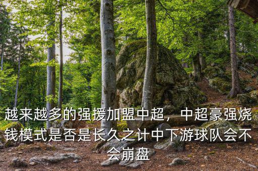 越來(lái)越多的強(qiáng)援加盟中超，中超豪強(qiáng)燒錢模式是否是長(zhǎng)久之計(jì)中下游球隊(duì)會(huì)不會(huì)崩盤