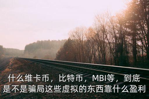 什么維卡幣，比特幣，MBI等，到底是不是騙局這些虛擬的東西靠什么盈利