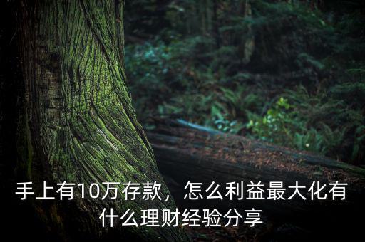 手上有10萬(wàn)存款，怎么利益最大化有什么理財(cái)經(jīng)驗(yàn)分享