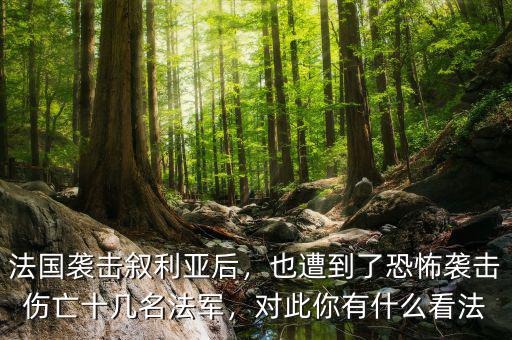 法國襲擊敘利亞后，也遭到了恐怖襲擊傷亡十幾名法軍，對(duì)此你有什么看法