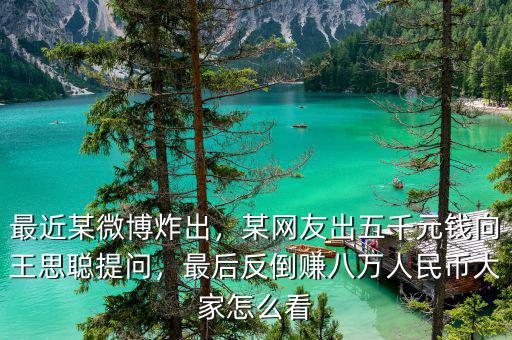 最近某微博炸出，某網(wǎng)友出五千元錢向王思聰提問，最后反倒賺八萬人民幣大家怎么看