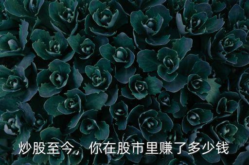 炒股至今，你在股市里賺了多少錢