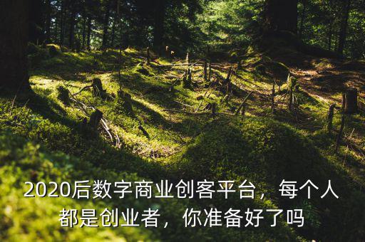 2020后數(shù)字商業(yè)創(chuàng)客平臺，每個人都是創(chuàng)業(yè)者，你準(zhǔn)備好了嗎