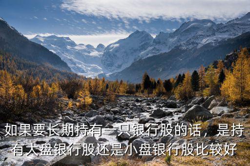 如果要長(zhǎng)期持有一只銀行股的話，是持有大盤(pán)銀行股還是小盤(pán)銀行股比較好