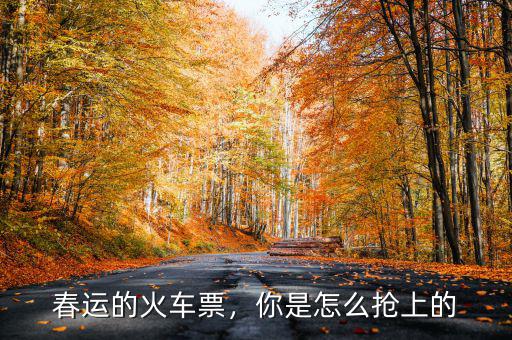 春運(yùn)的火車票，你是怎么搶上的