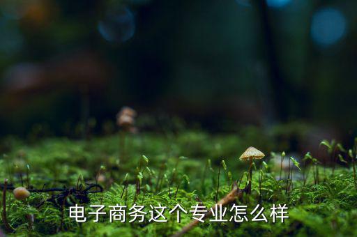 萬(wàn)聯(lián)電子商務(wù)怎么樣,電子商務(wù)這個(gè)專業(yè)怎么樣