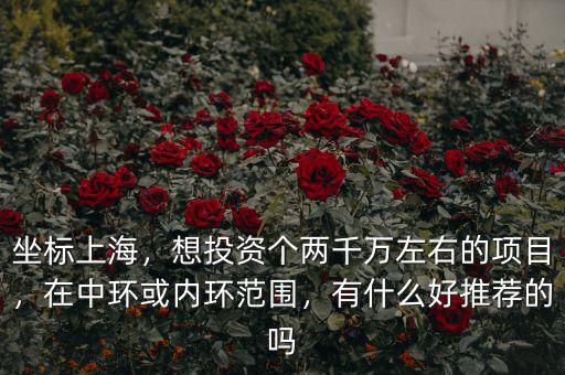 坐標上海，想投資個兩千萬左右的項目，在中環(huán)或內(nèi)環(huán)范圍，有什么好推薦的嗎