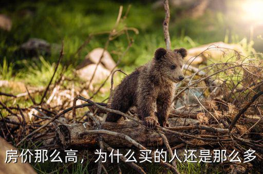 房價那么高，為什么買的人還是那么多