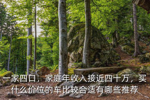 一家四口，家庭年收入接近四十萬(wàn)，買什么價(jià)位的車比較合適有哪些推薦
