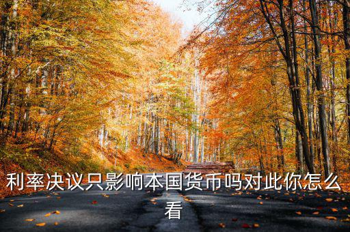利率決議怎么對(duì)白銀影響,利率決議只影響本國(guó)貨幣嗎