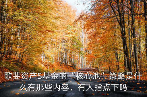 歌斐資產(chǎn)S基金的“核心池”策略是什么有那些內(nèi)容，有人指點下嗎