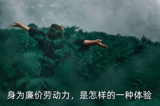 身為廉價(jià)勞動(dòng)力，是怎樣的一種體驗(yàn)