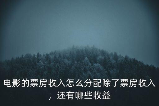 電影的票房收入怎么分配除了票房收入，還有哪些收益