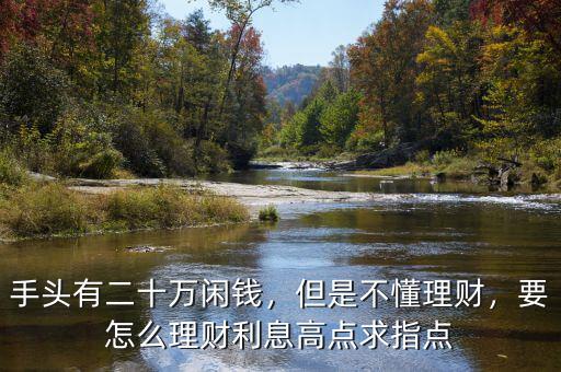 手頭有二十萬閑錢，但是不懂理財，要怎么理財利息高點求指點